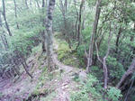 0906071239.JPG