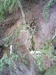 0906071244_1.JPG