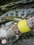 0906071248.JPG
