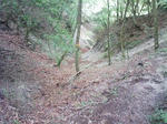 0906071245_2.JPG