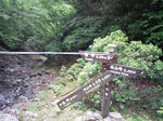 0906130930_2.JPG