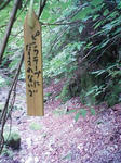 0906130930_3.JPG