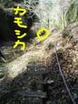 22a80235.jpeg