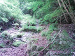0906131114.JPG