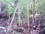 0906131129.JPG