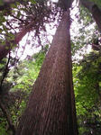 0906131135.JPG