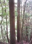 0906131155.JPG