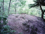 0906131201_1.JPG