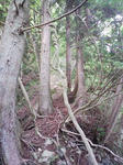 0906131202.JPG
