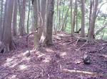 0906131244.JPG