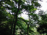 0906131309_1.JPG