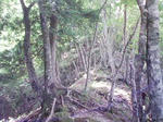 0906131309_2.JPG