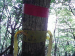 0906131313.JPG