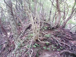 0906131332.JPG