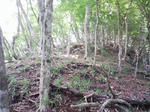 0906131337.JPG