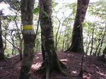 0906131342.JPG
