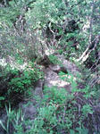0906131348.JPG