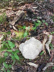 0906131353.JPG
