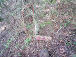 0906131404.JPG