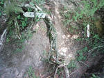 0906131416.JPG