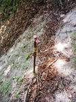 0906131419.JPG