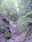 0906071258.JPG