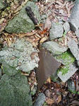 0906071301_1.JPG