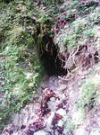 0906131449.JPG