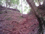 0906071252.JPG