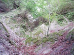 0906071254.JPG