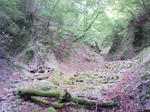 0906071259.JPG