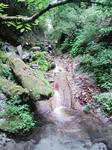 0906071318.JPG