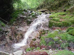 0906071321.JPG