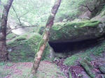 0906071324_1.JPG