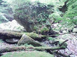 0906071326_1.JPG