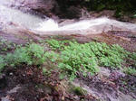 0906071334.JPG