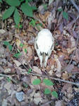 0906071436.JPG