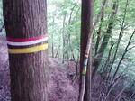 0906071439.JPG