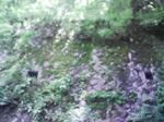 0906201155.JPG