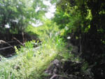0906201201.JPG