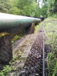 0906201208.JPG