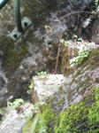 0906201209_2.JPG