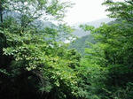 0906201232.JPG