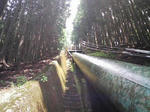 0906201239_2.JPG