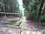 0906201245_2.JPG