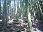 0906201304.JPG
