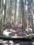 0906201317.JPG