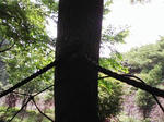 0906201417.JPG