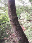0906201420.JPG