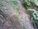 0906201502.JPG